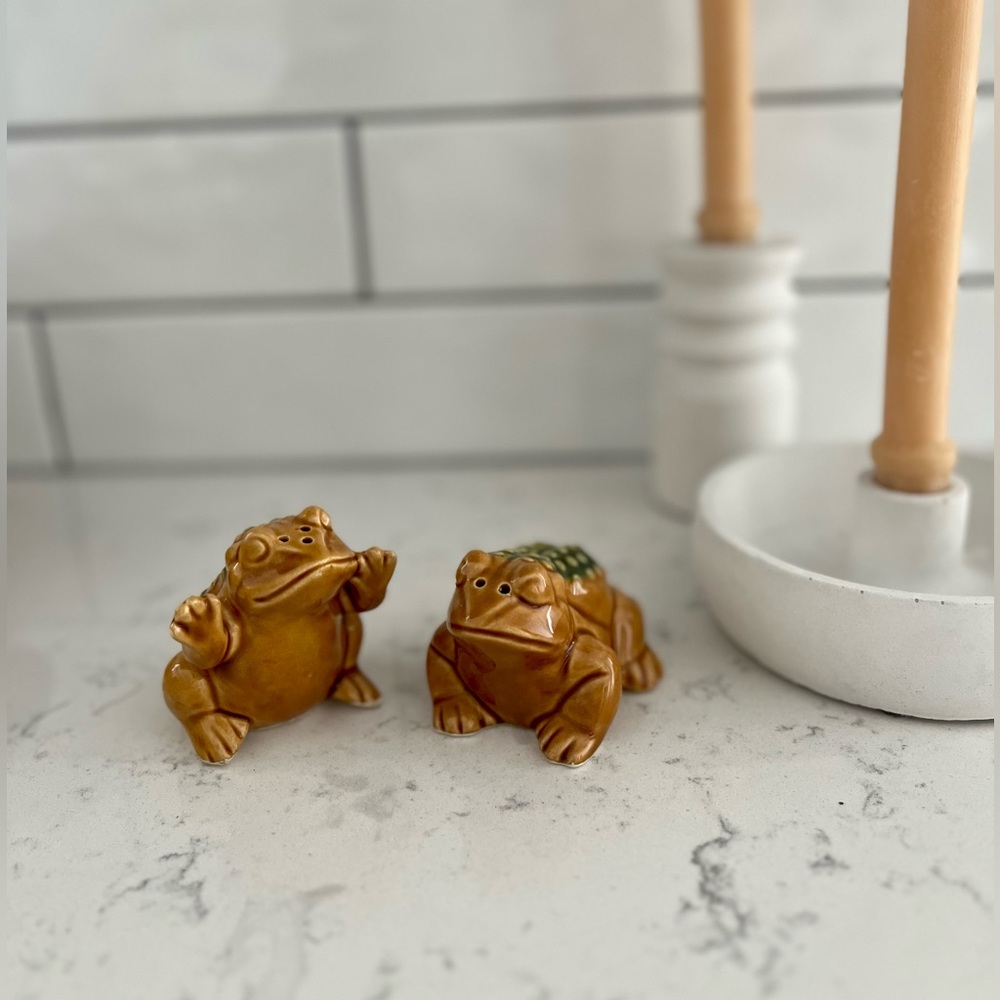 Vintage Cane Toad Salt and Pepper Shakers - Picture 4 of 5